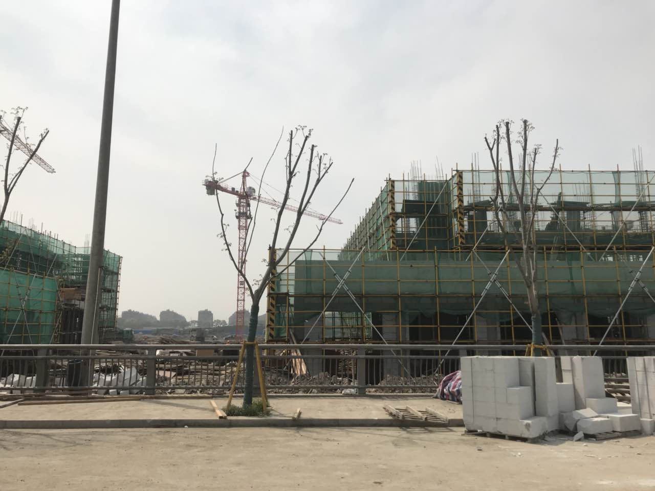 【官 】环杭州产业新城德清雷甸孔雀城首期洋房,小高层,联排别墅预推